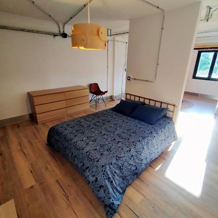 Loft Mieres Lejlighed Mieres  Eksteriør billede